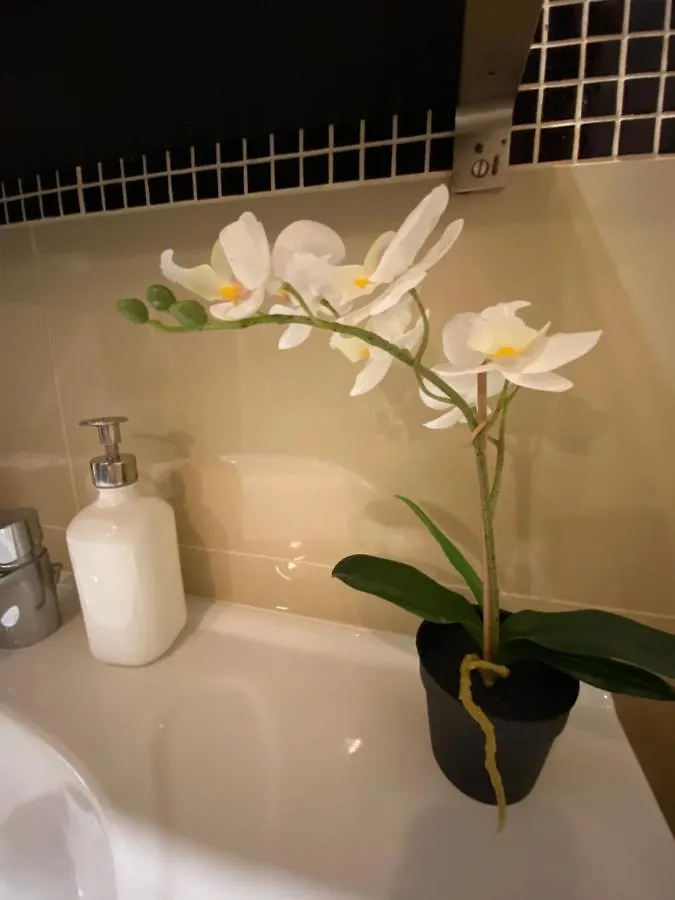 Best Location In The Heart Of The City, 2 Bedrooms, 2 Bathrooms Budapest 0*,  Hungary